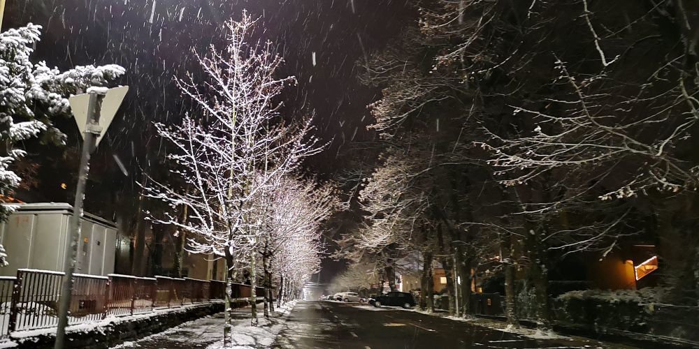 Photograph by Sandor Zoltan Gal