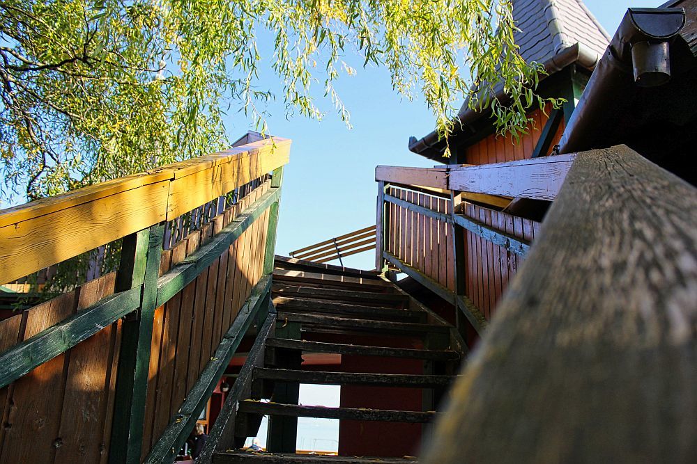 Photograph by Sandor Zoltan Gal