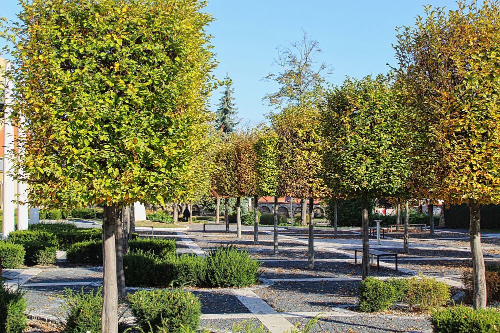 Photograph by Sandor Zoltan Gal