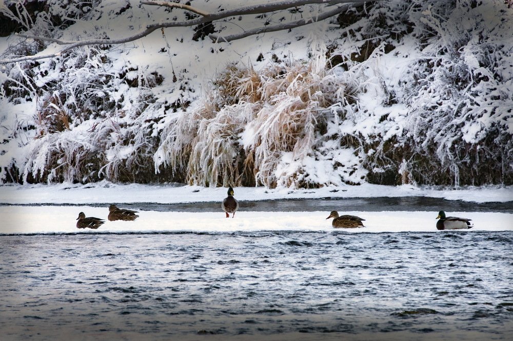 Photograph by петр чиков