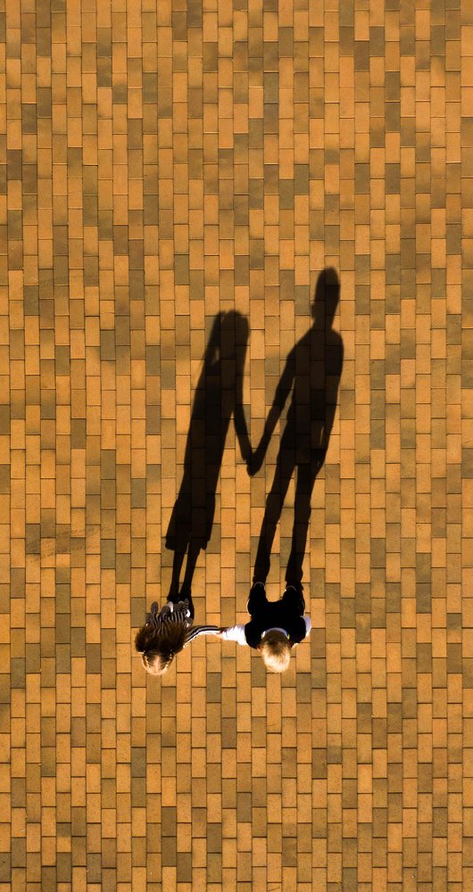 Тень дружбы