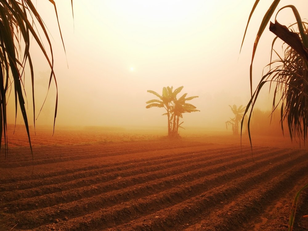 Photograph by Md Abu Sayeed Mondal