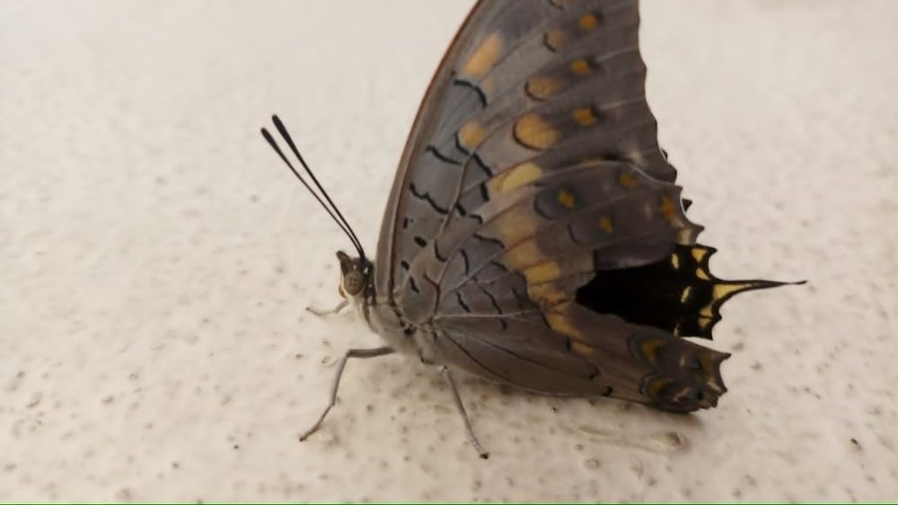 Photograph by Ambewadikar sourabh