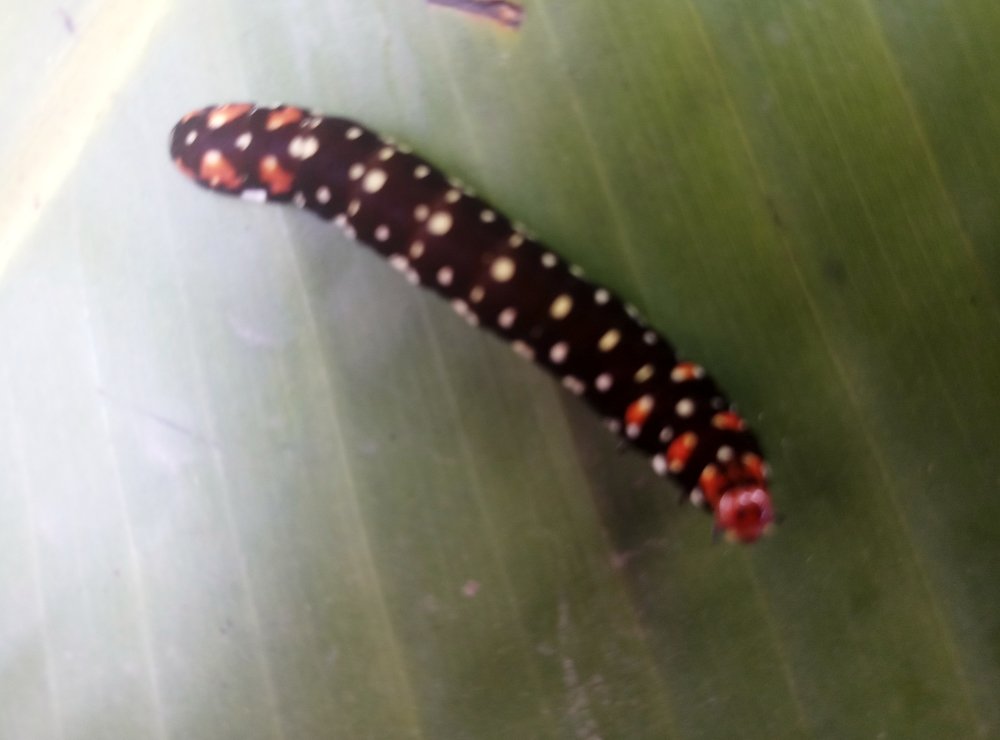 Photograph by Ambewadikar sourabh