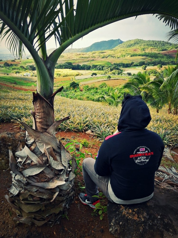 Nature Mauritius