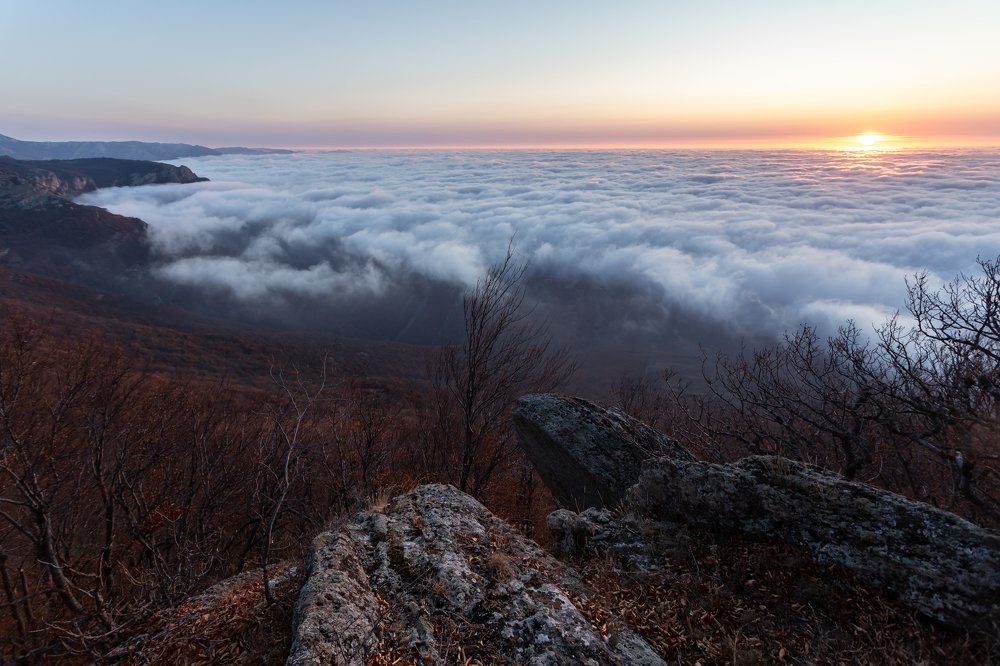 Photograph by Константин Аношин