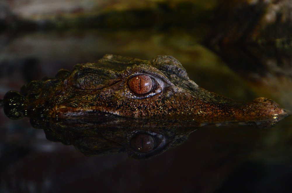 Photograph by Марина Ермолаева