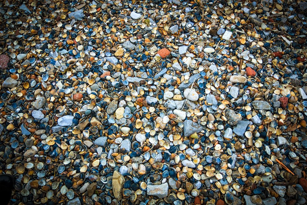 Photograph by Сергей Фадин