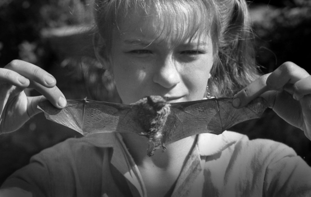 Photograph by петр чиков