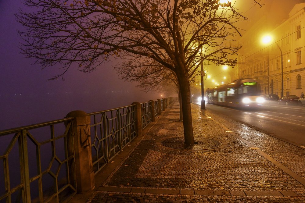 Фотография автора Александра Елагина