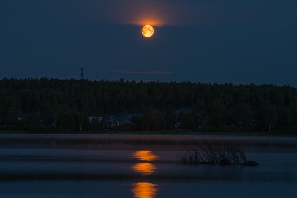 Photograph by Илькин Салимов