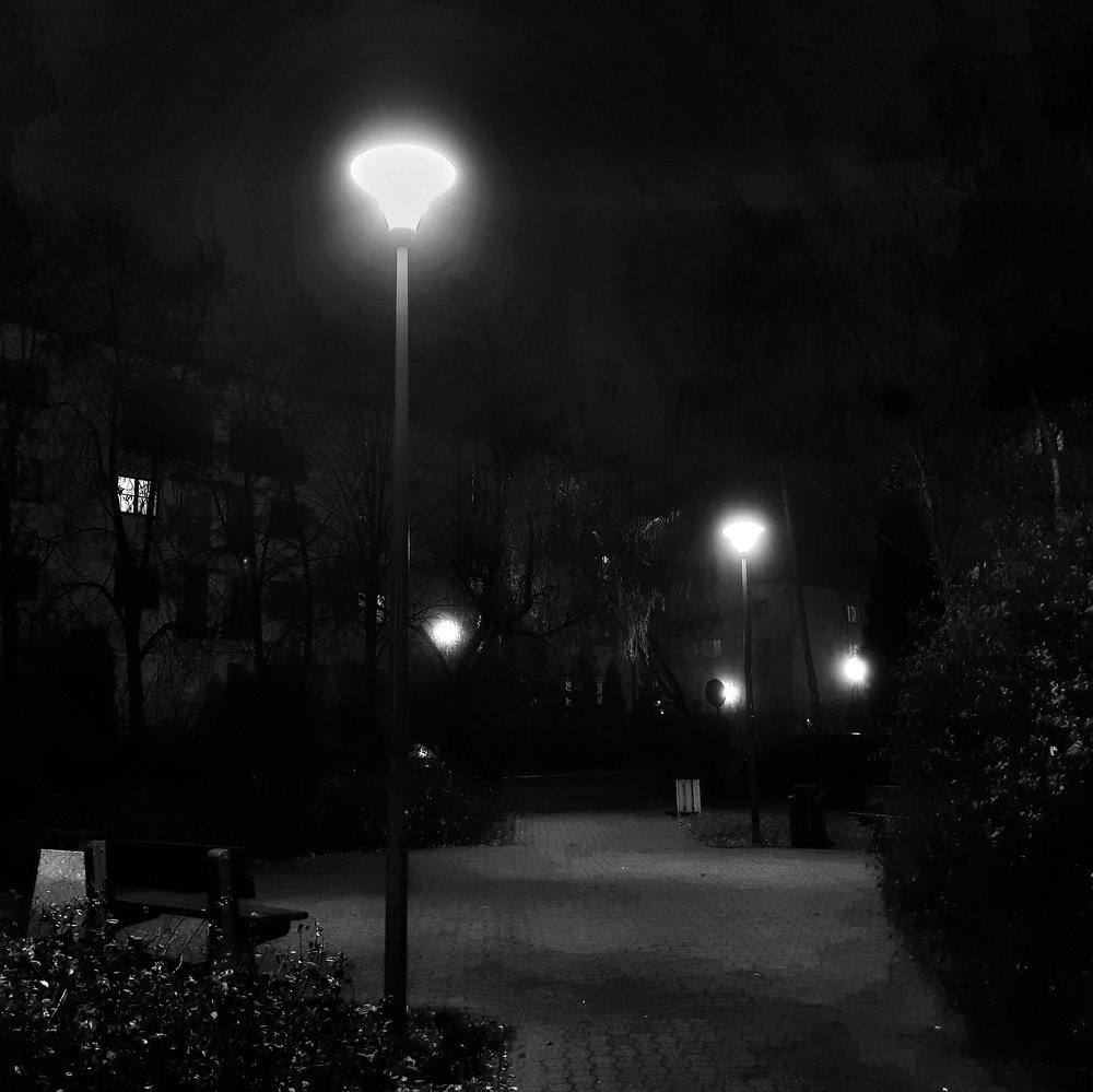 Photograph by Marcin Sokolowski - maarew