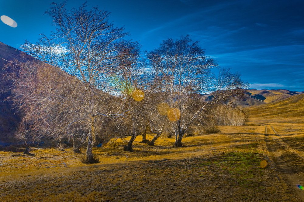 Photograph by петр чиков