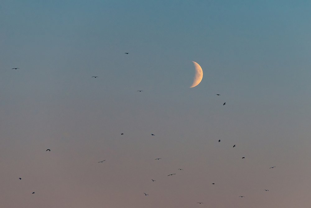 Photograph by Илькин Салимов