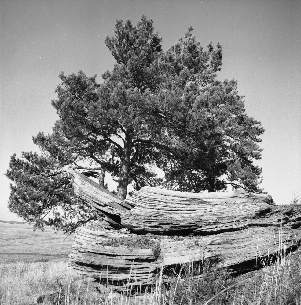 Photograph by петр чиков