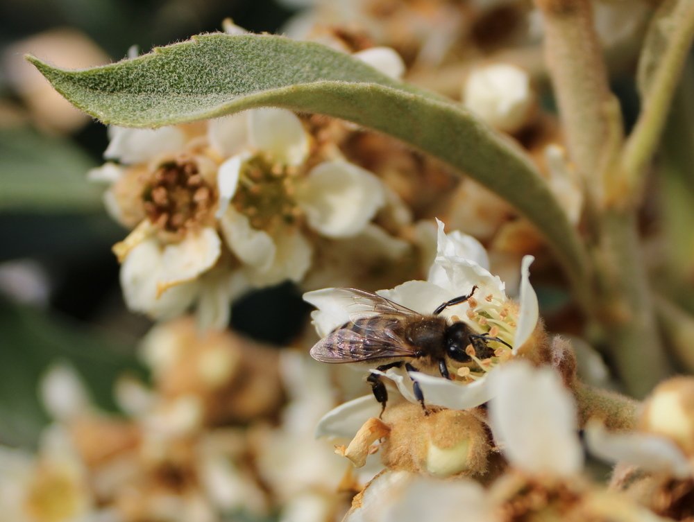 Photograph by Николай Немчанинов