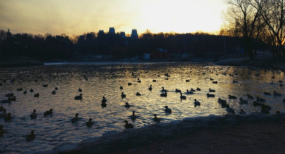 Photograph by OLGA