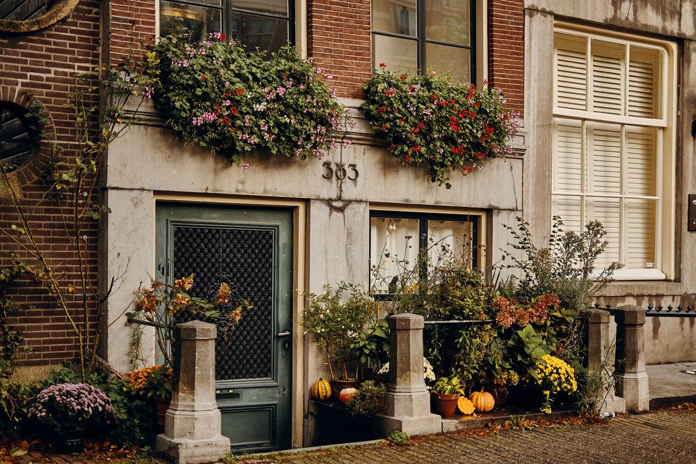 Photograph by Анастасия Васильева