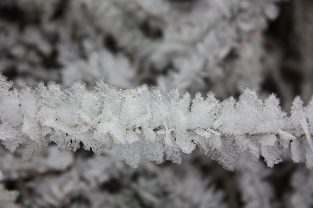 Photograph by Людмила Травина