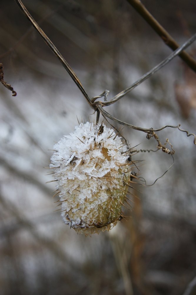 Photograph by Людмила Травина