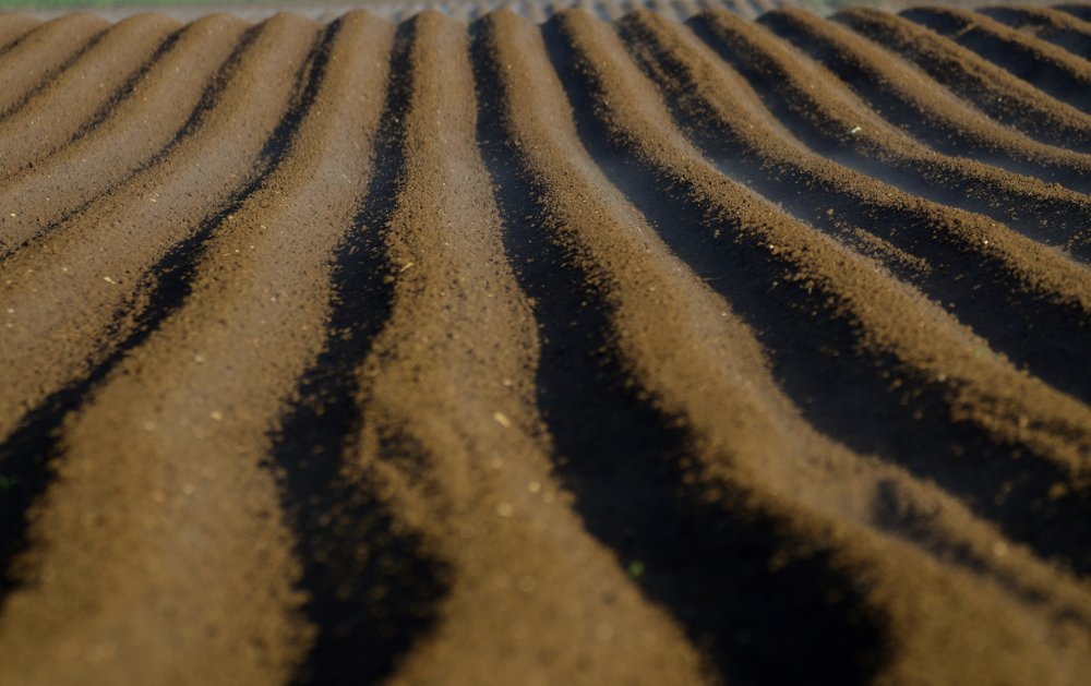 Photograph by Lojze Burja