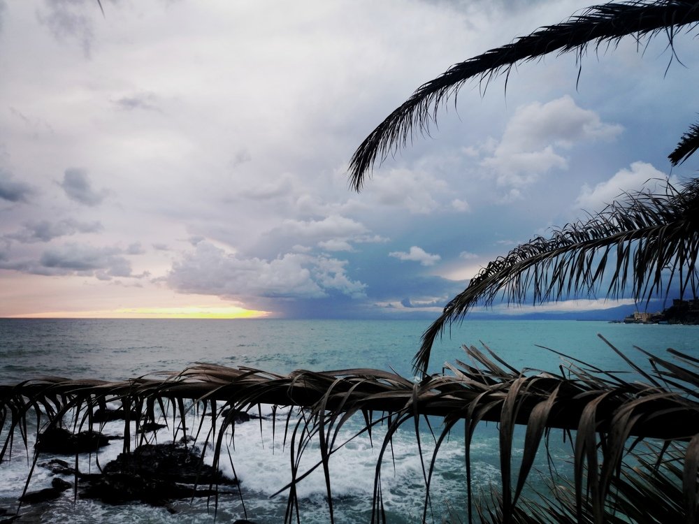 Photograph by Змитрович Татьяна