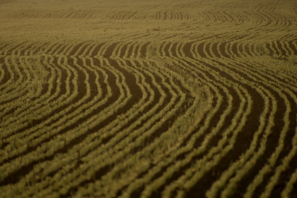 Photograph by Lojze Burja