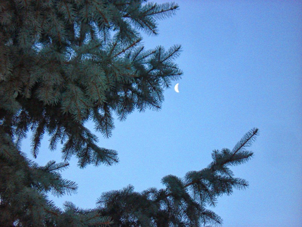 Photograph by София Гавриловна Вотякова