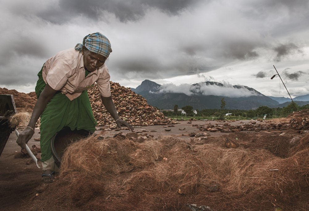 Фотография автора Vishnu Gopal
