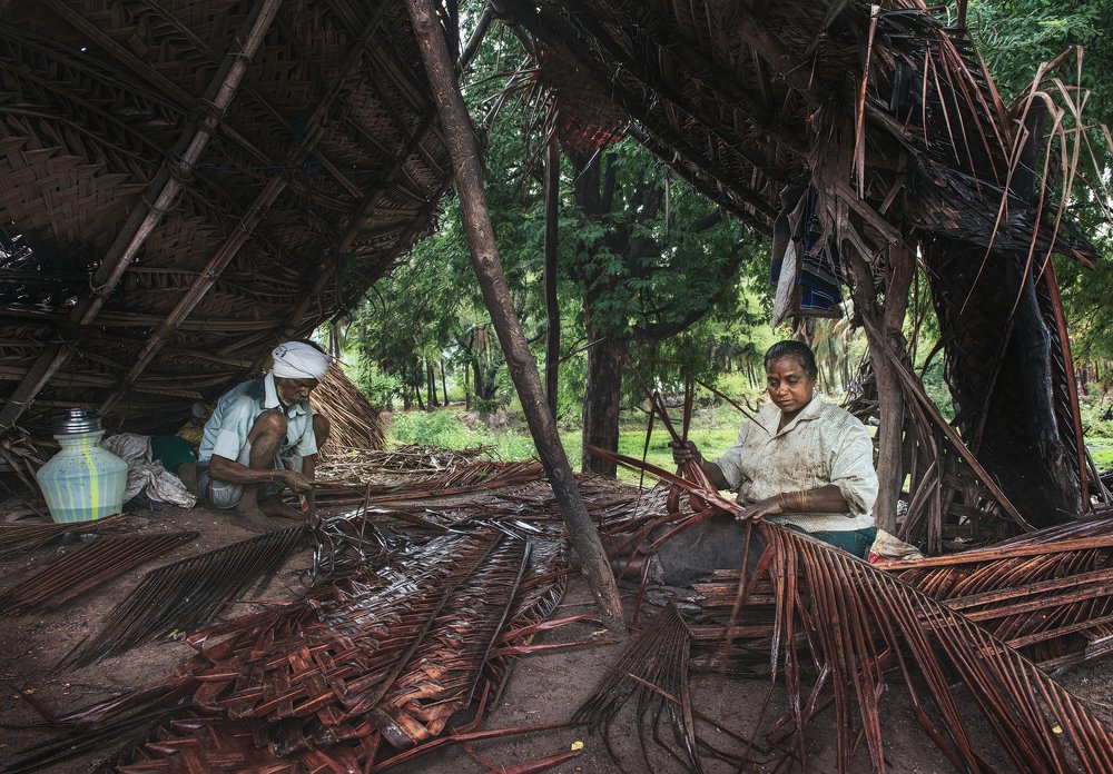 Фотография автора Vishnu Gopal