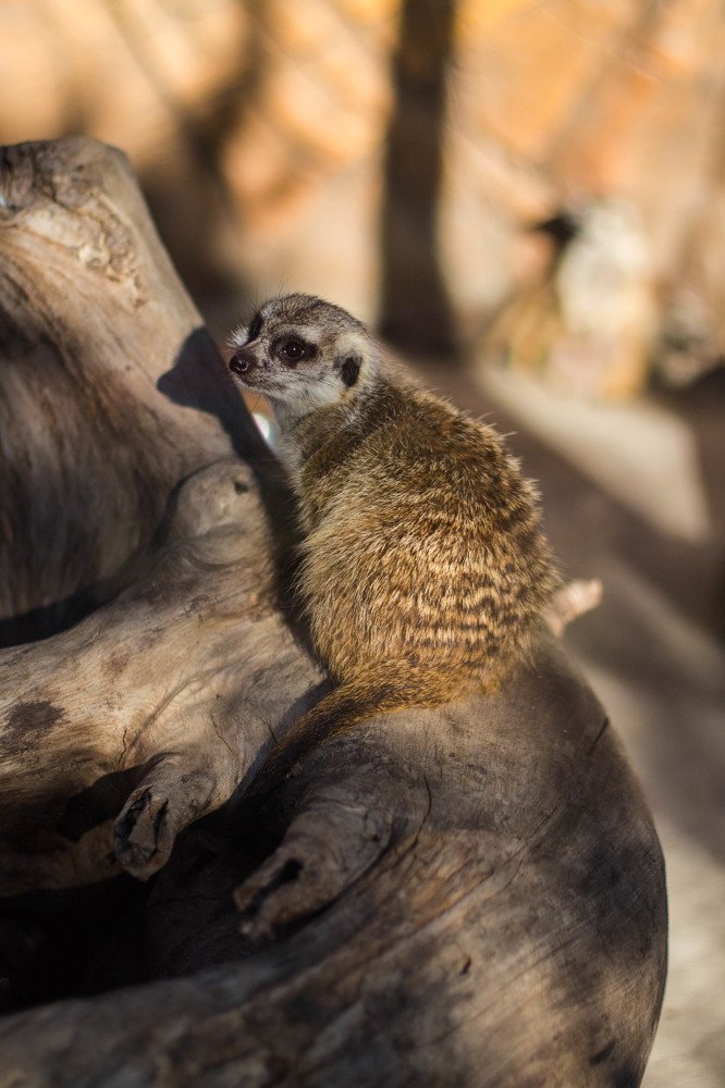 Photograph by Антон