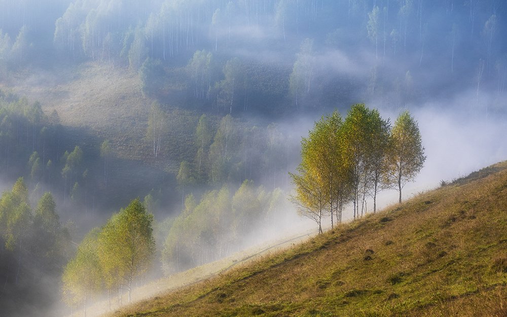 Photograph by Mihail-Bogdan Chirobocea