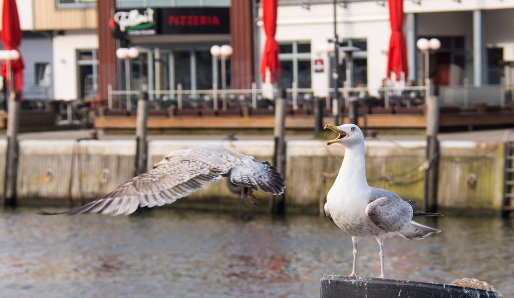 Это мое место