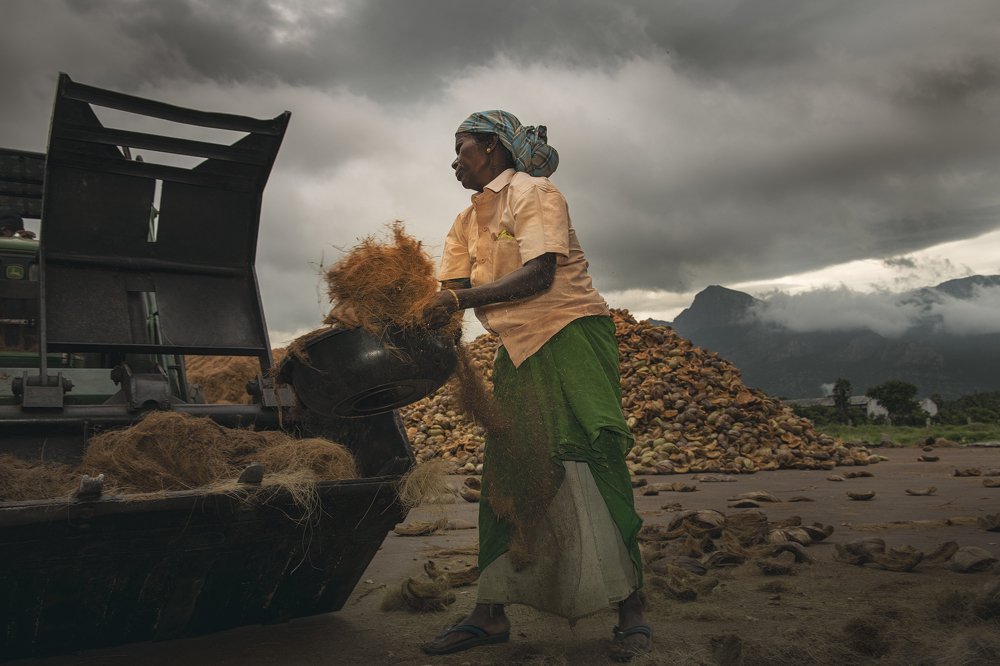 Фотография автора Vishnu Gopal