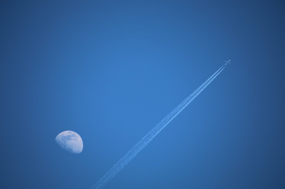 Photo #3941055