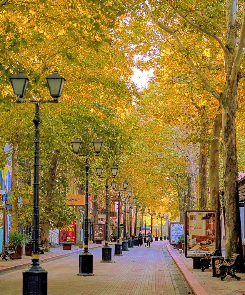 Photograph by Игорь Прошаков