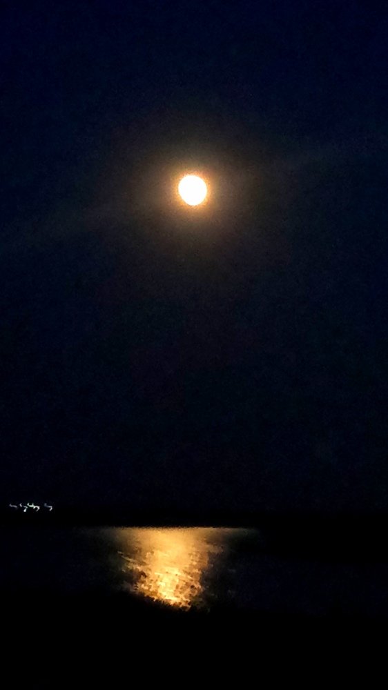 Photograph by нина кутчиева