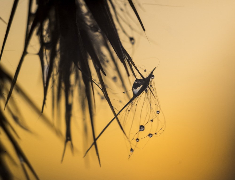 Photograph by Хаким