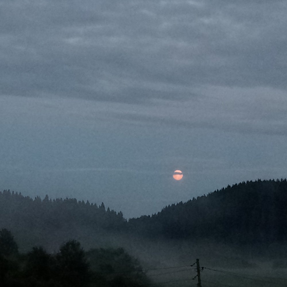 Photograph by нина кутчиева