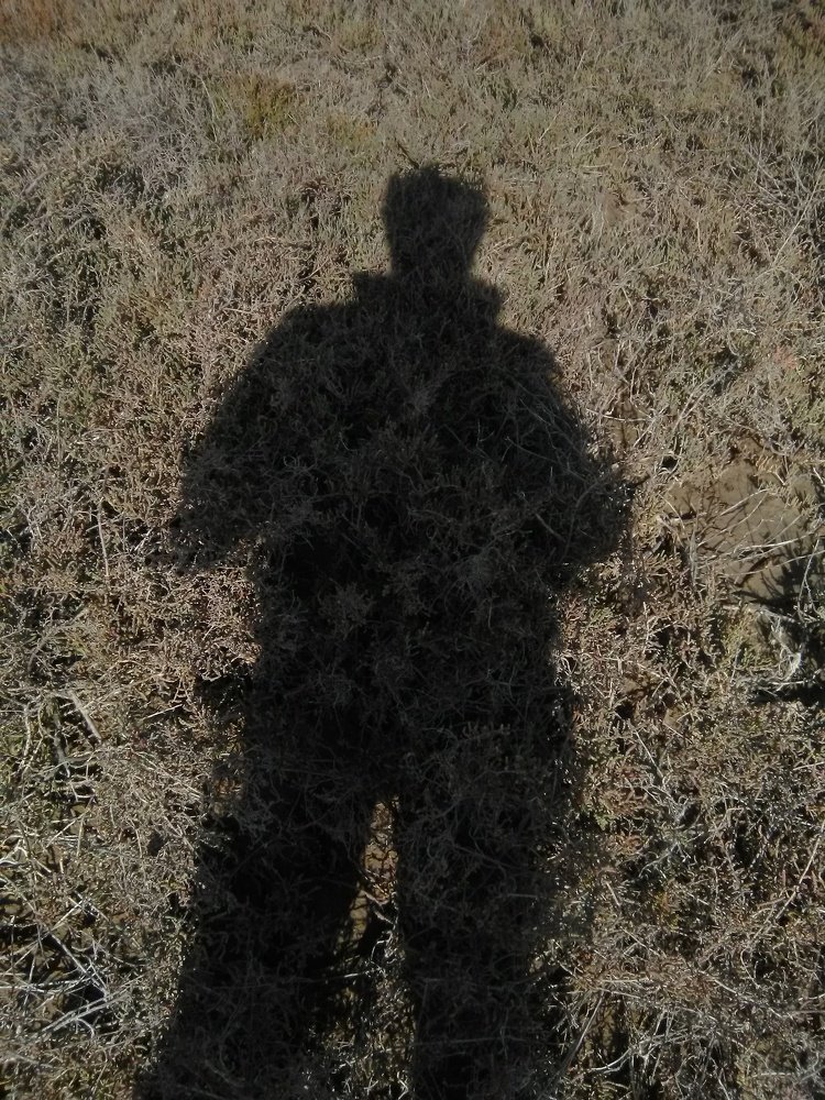 Photo #3941224