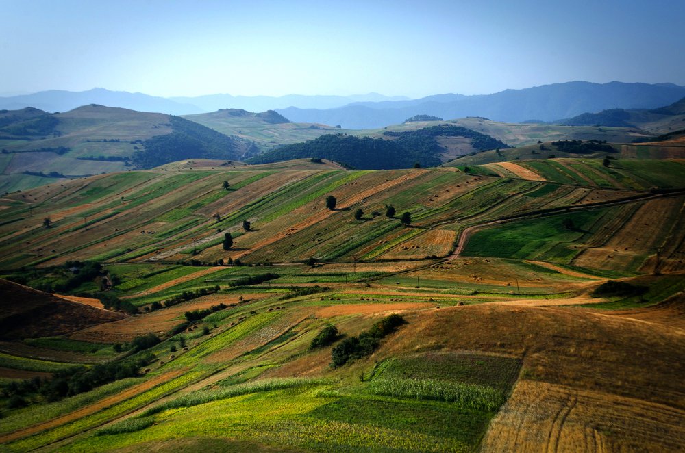 Photograph by Artsrun Ganjalyan