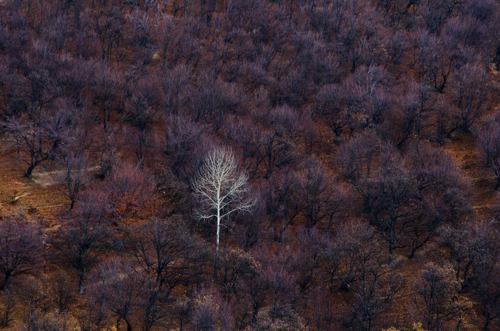 Autumn in mountains