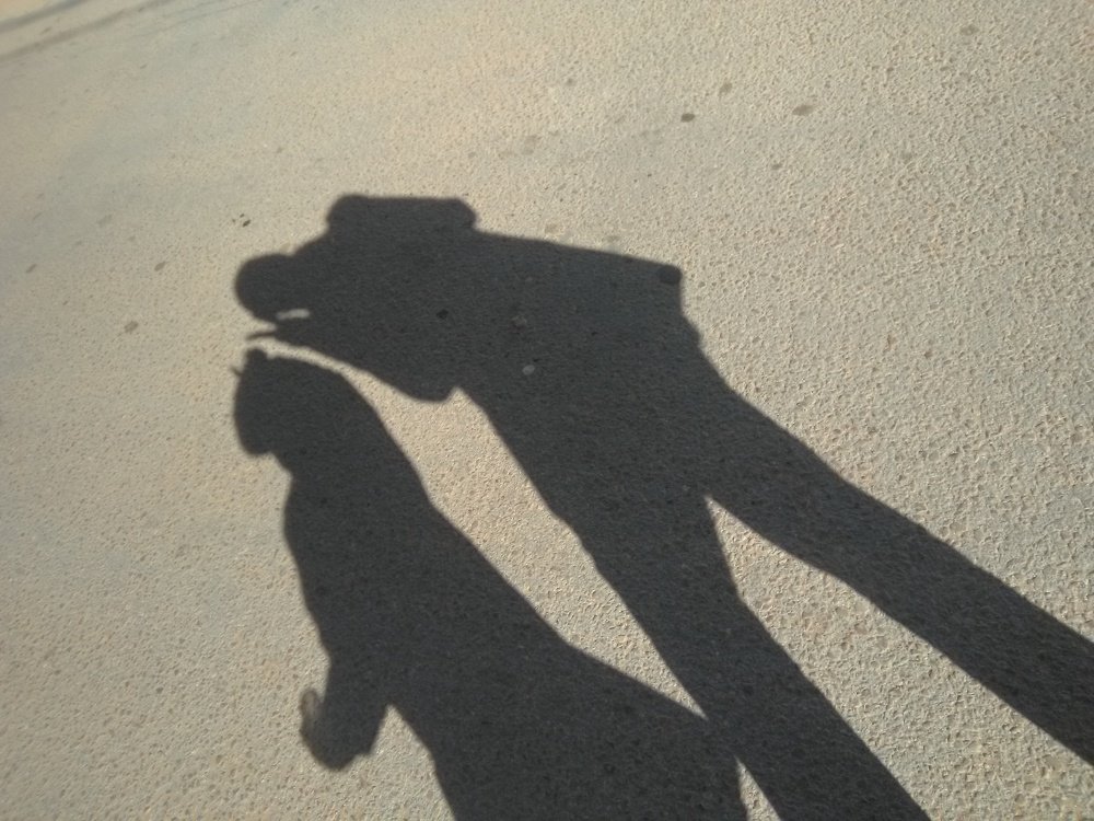 Photo #3941251
