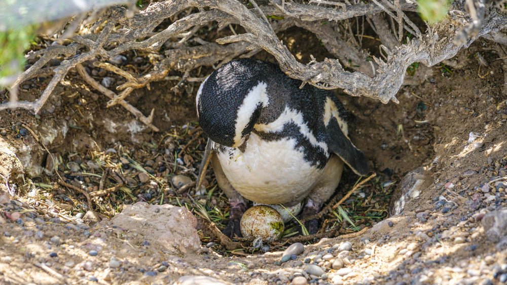 Photograph by Karina Elena Bergagna