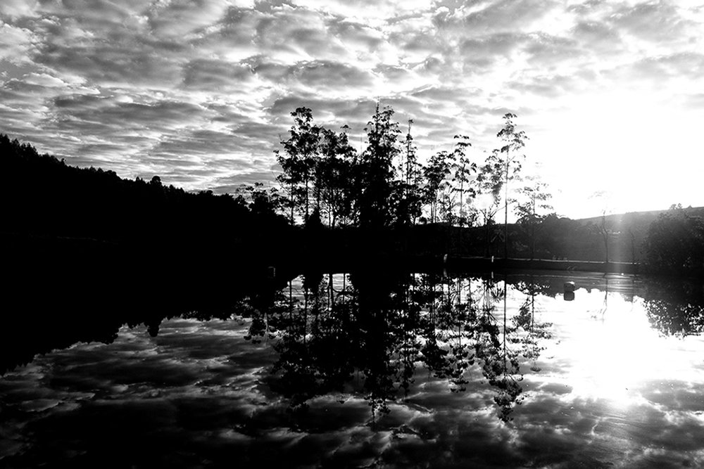 Photograph by Arthur Medeiros