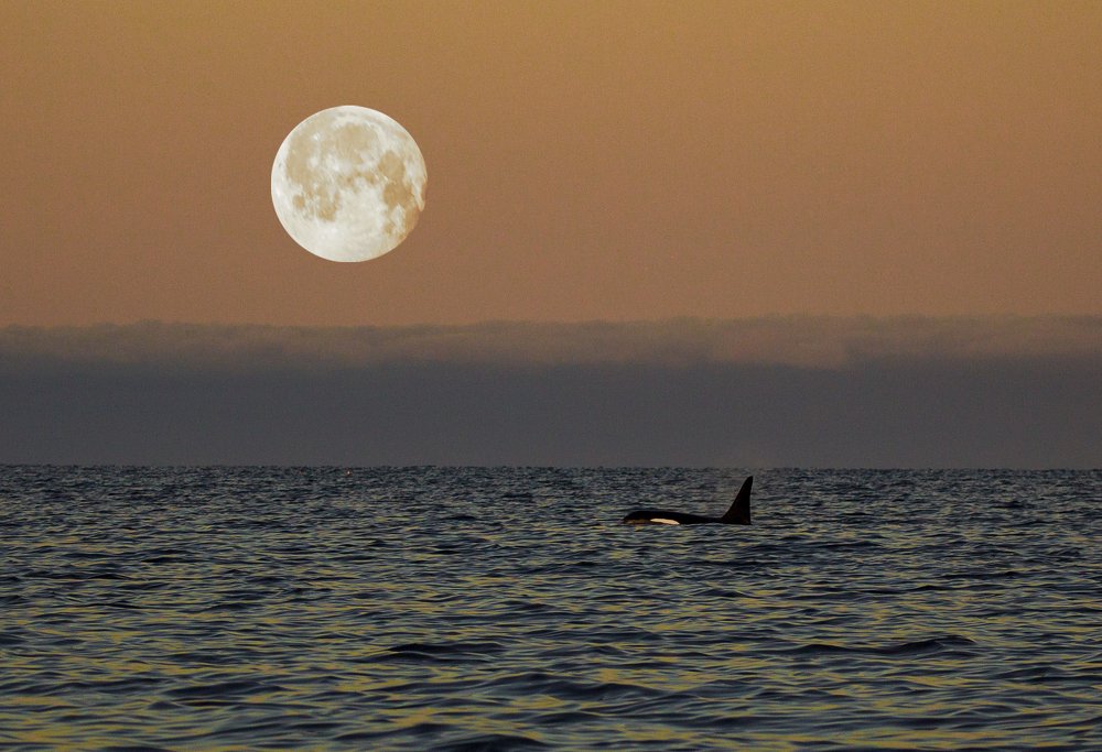 Photograph by Lars-Emil Mikkelsen