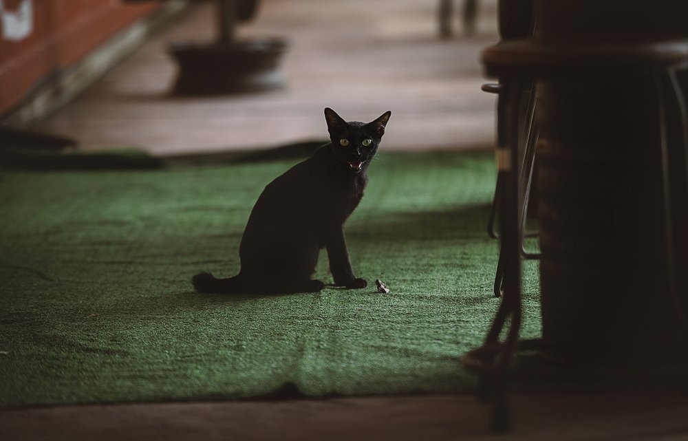 Photograph by Nunong Tindin