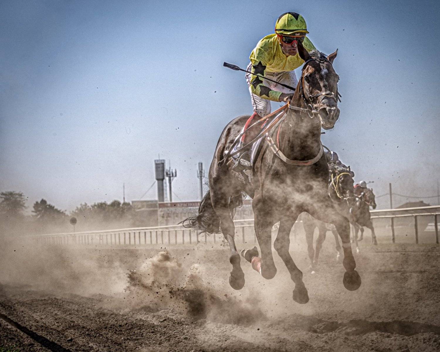 Фотография #3941573