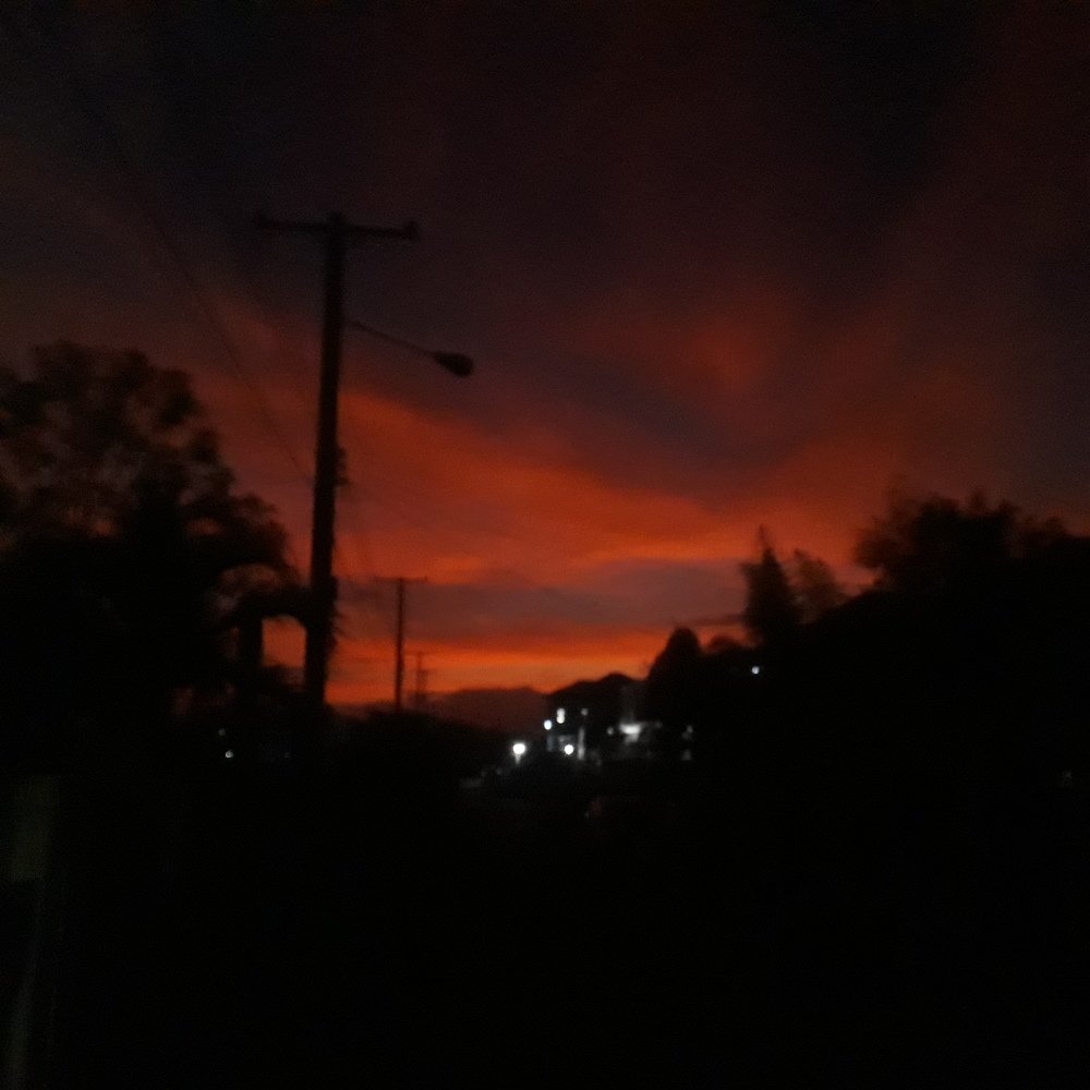 Photo #3941597