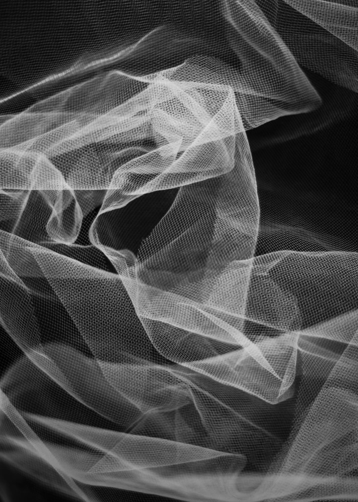 Photograph by Лариса Сиверина